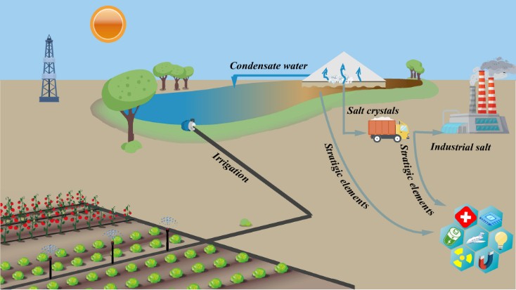我院刘百仓教授团队在CEJ发表综述文章《基于太阳能驱动界面蒸发技术对页岩气废水进行脱盐及资源回收》