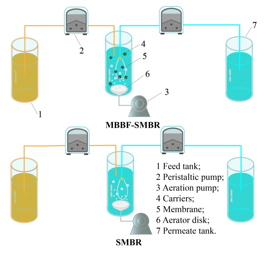 我院刘百仓教授团队BITE：臭氧氧化耦合移动床生物膜-浸没式膜生物反应器有效去除页岩气废水有机物