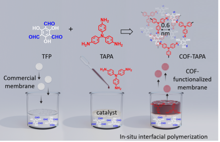 我院在Angewandte Chemie上发表最新成果：COF原位填充隔膜实现高性能锂硫电池
