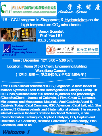 新加坡化学工程研究所(ICES, A*Star)刘艳教授应邀来四川大学作系列报告 (1/2)